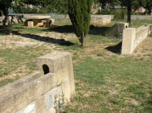 DSCN0861
