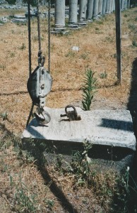 Louve- Ephèse 1999- Cliché C. Larnac
